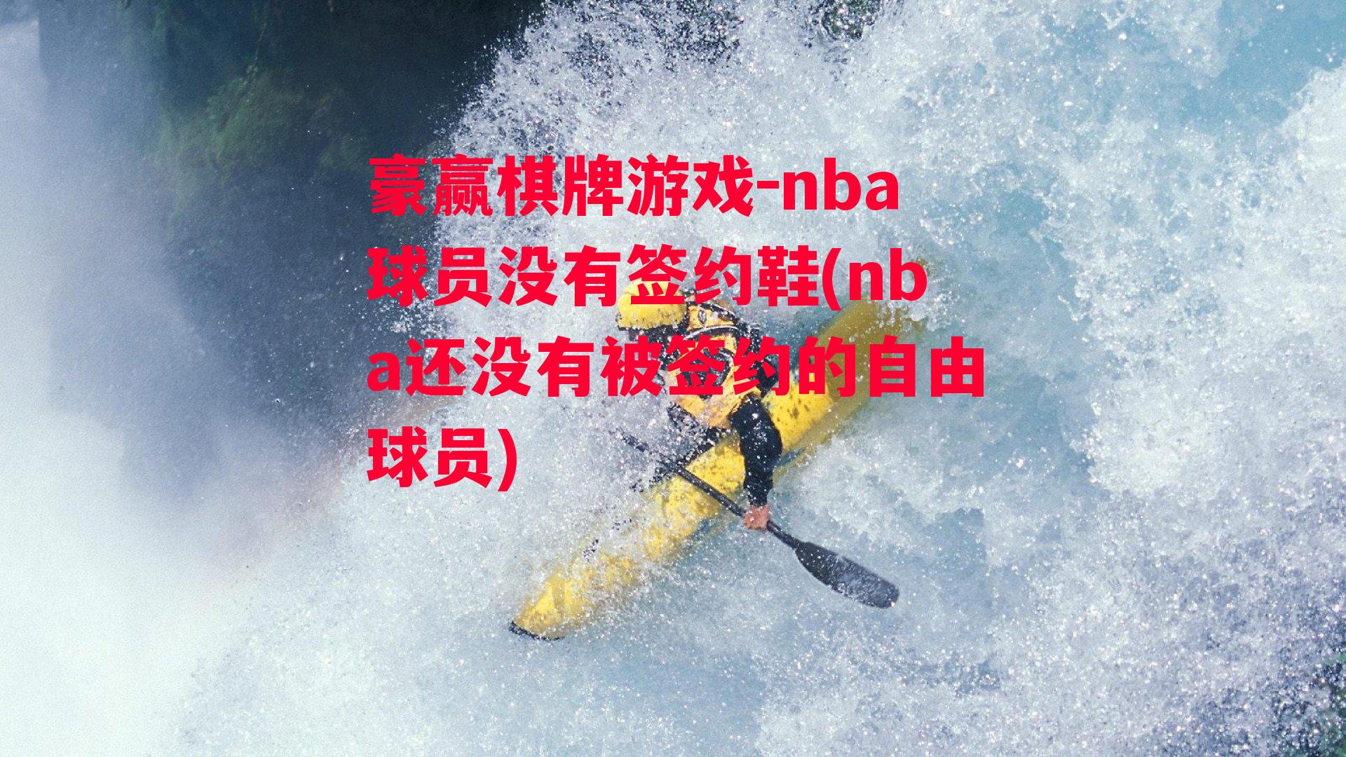 nba球员没有签约鞋(nba还没有被签约的自由球员)